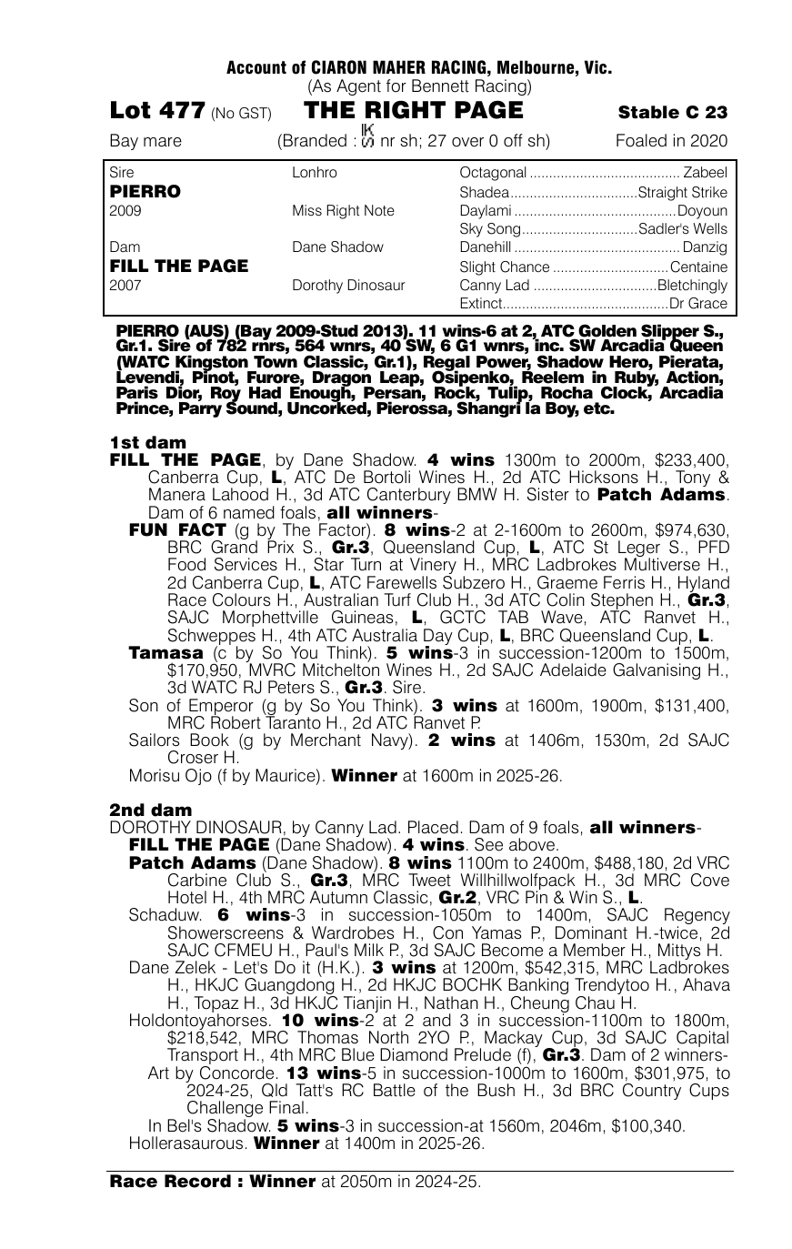 Pedigree - Lot 477