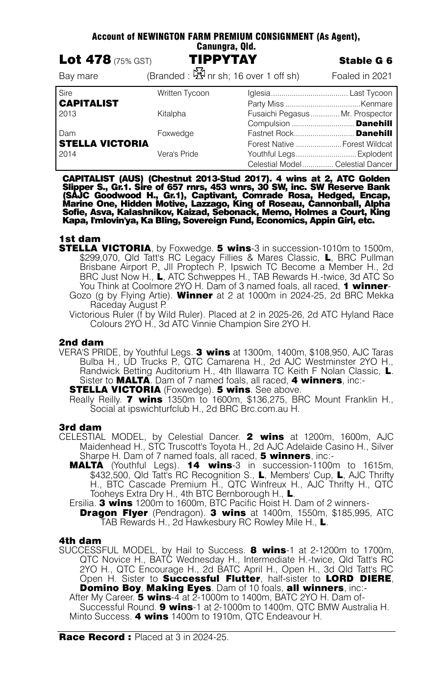 Pedigree - Lot 478