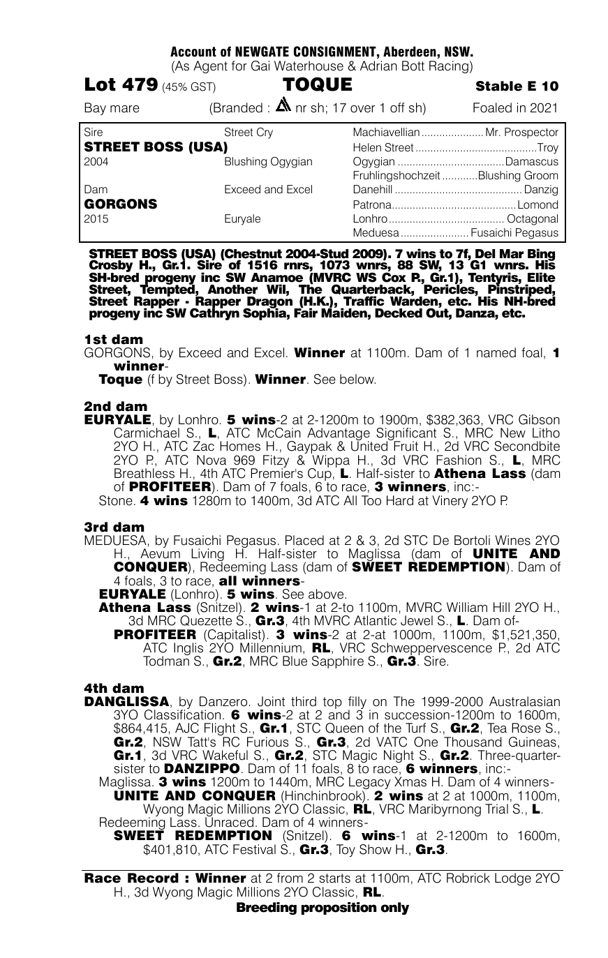 Pedigree - Lot 479