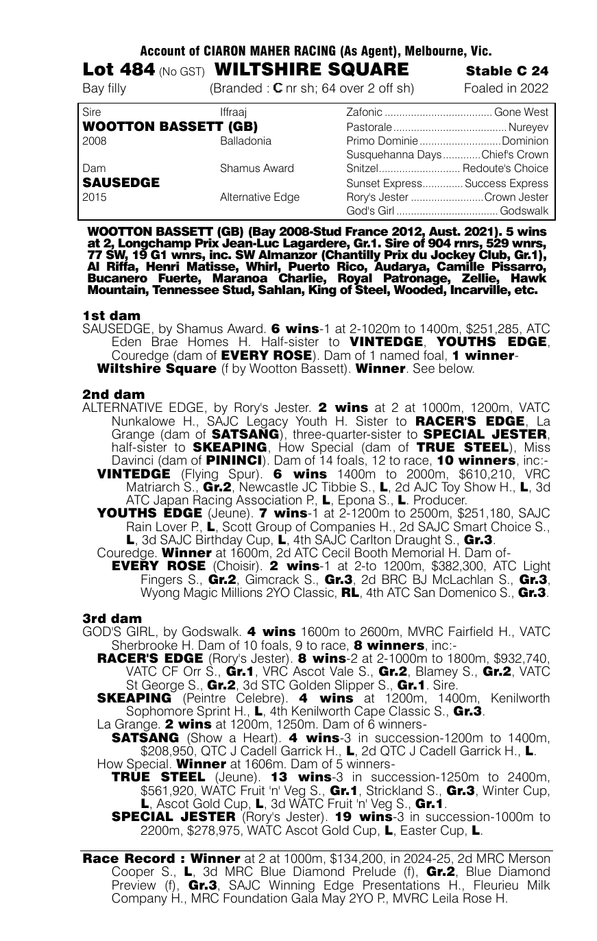 Pedigree - Lot 484