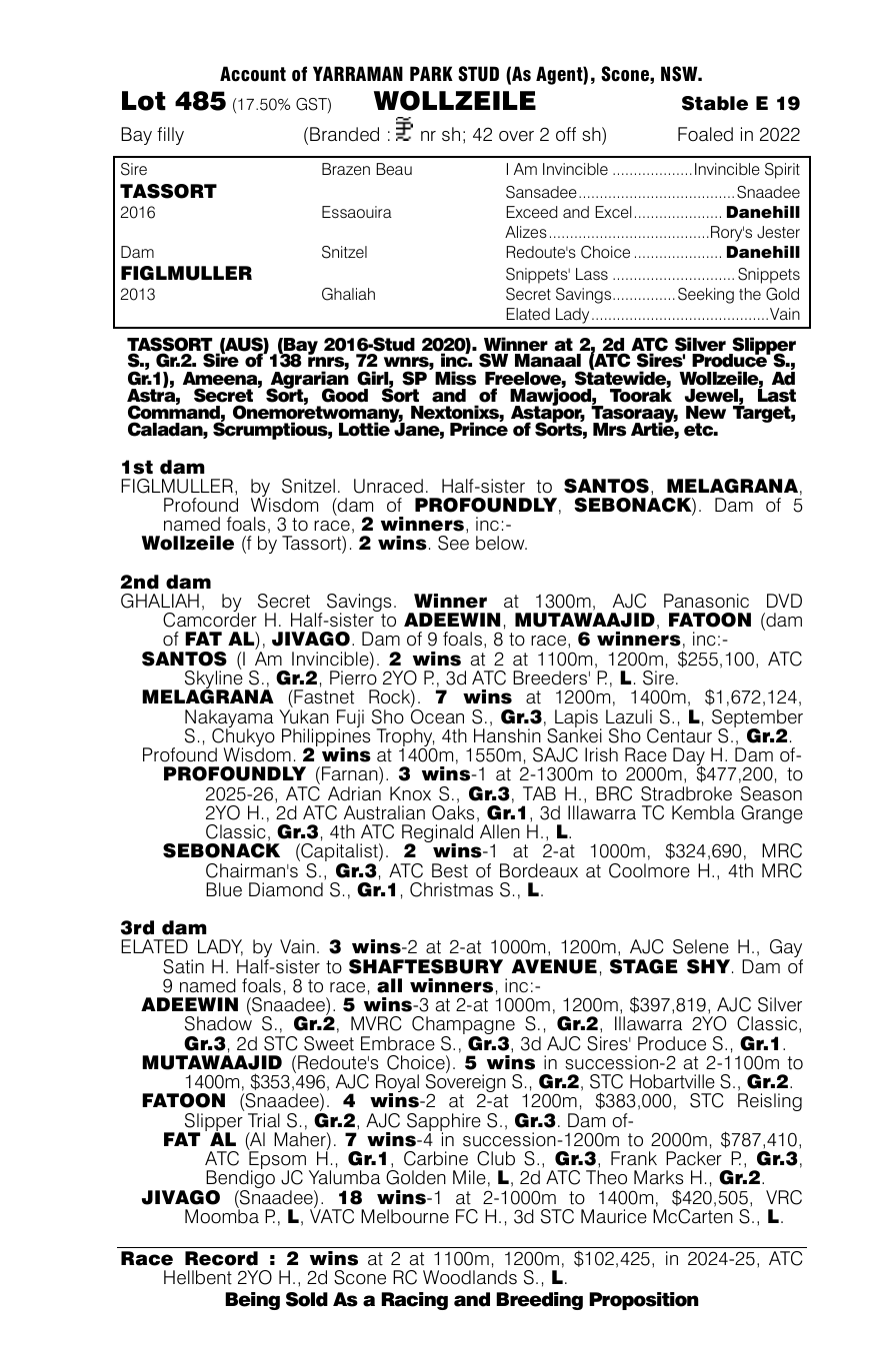 Pedigree - Lot 485