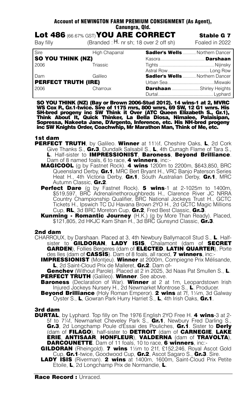Pedigree - Lot 486