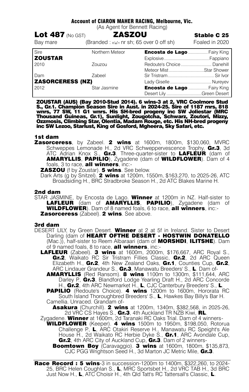 Pedigree - Lot 487