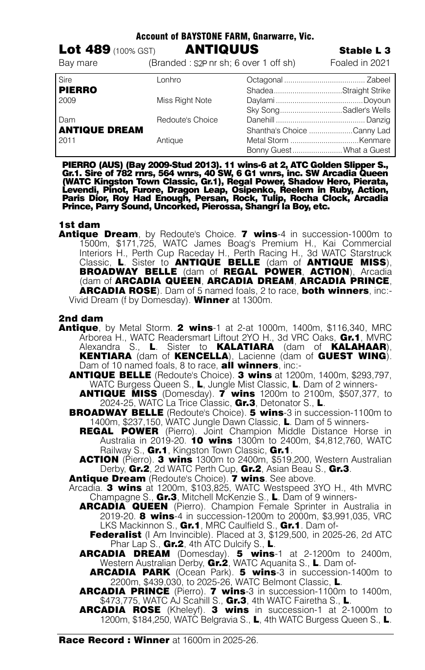 Pedigree - Lot 489