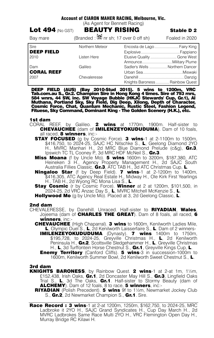 Pedigree - Lot 494