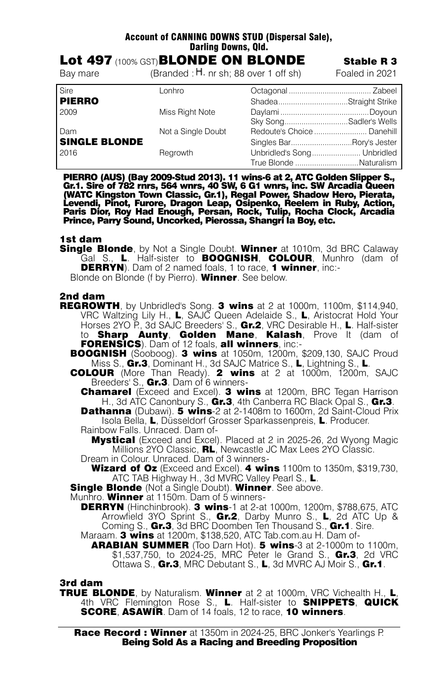 Pedigree - Lot 497