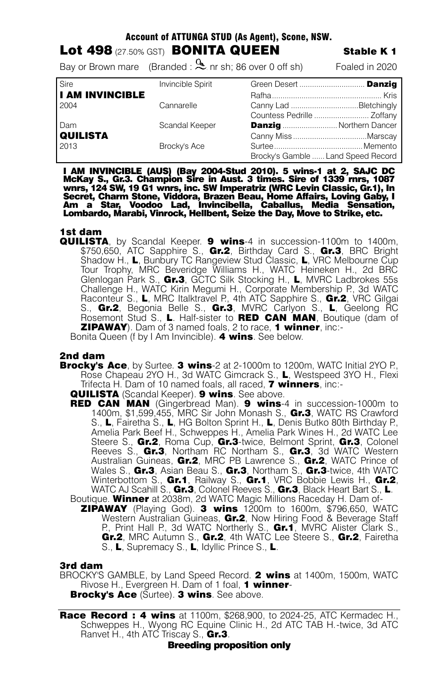 Pedigree - Lot 498