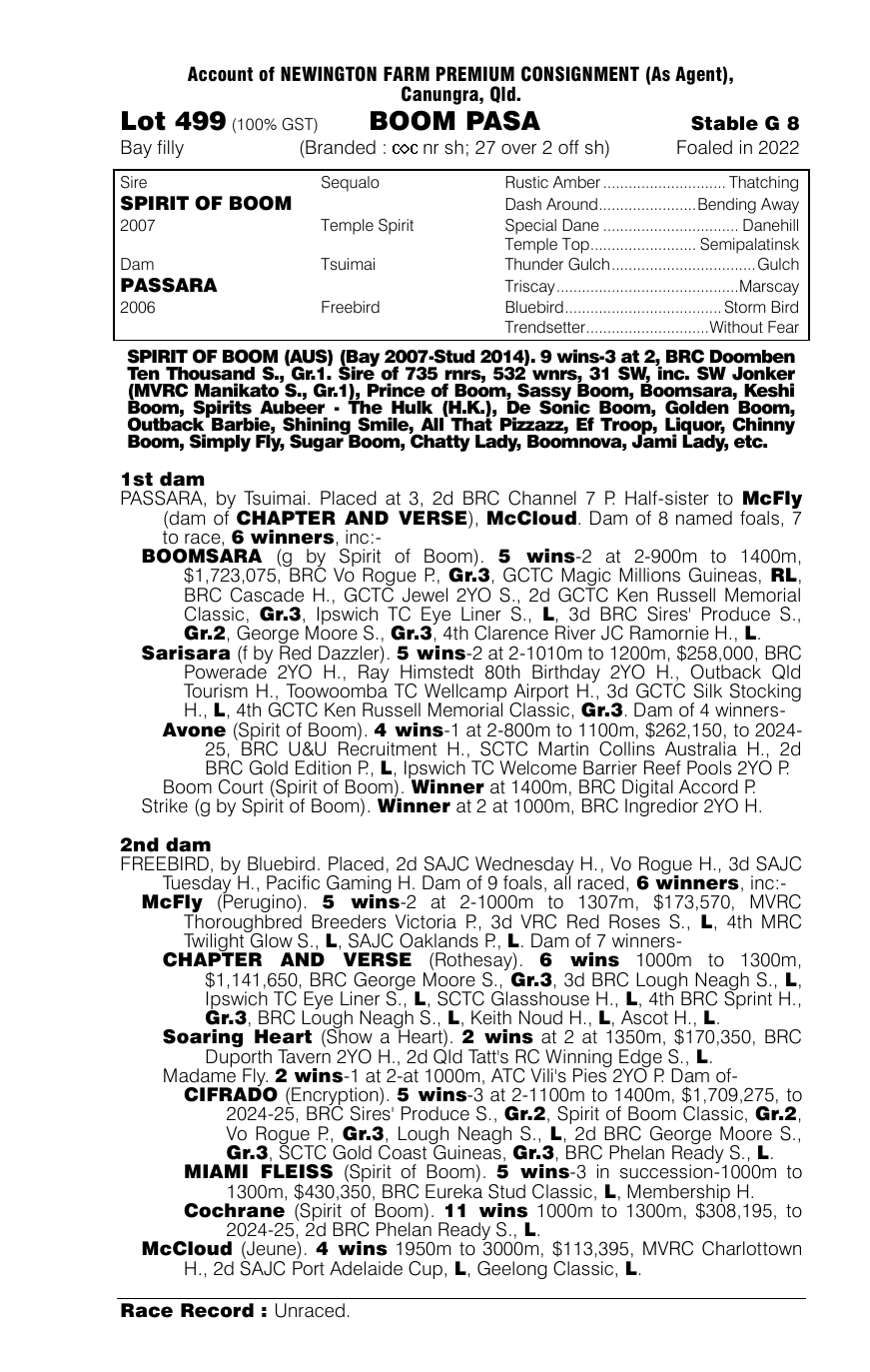 Pedigree - Lot 499