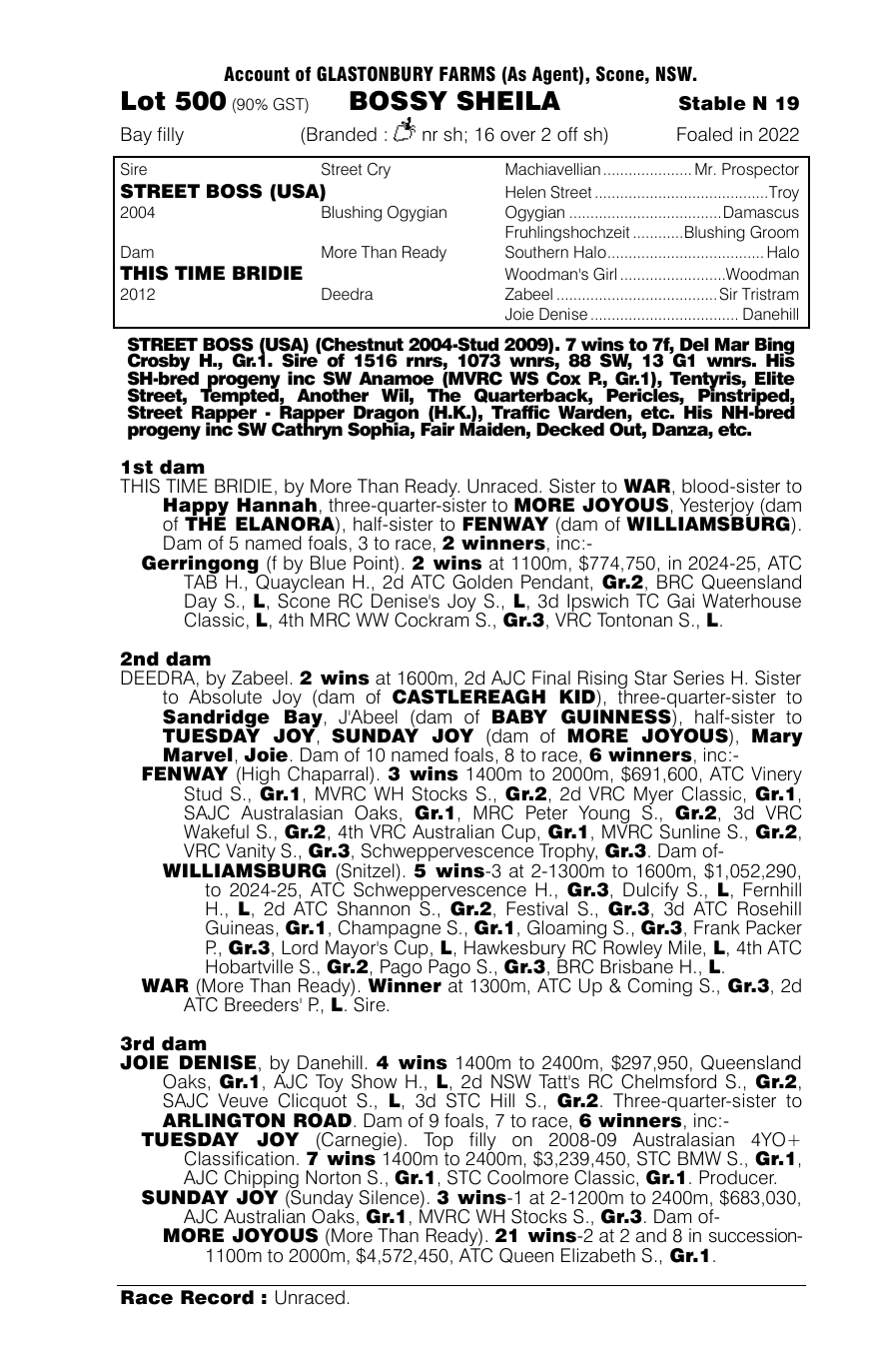 Pedigree - Lot 500