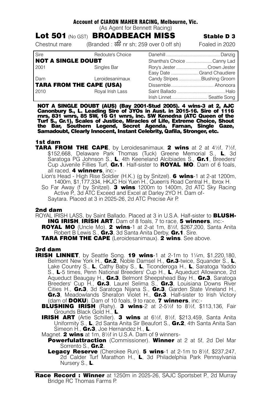 Pedigree - Lot 501