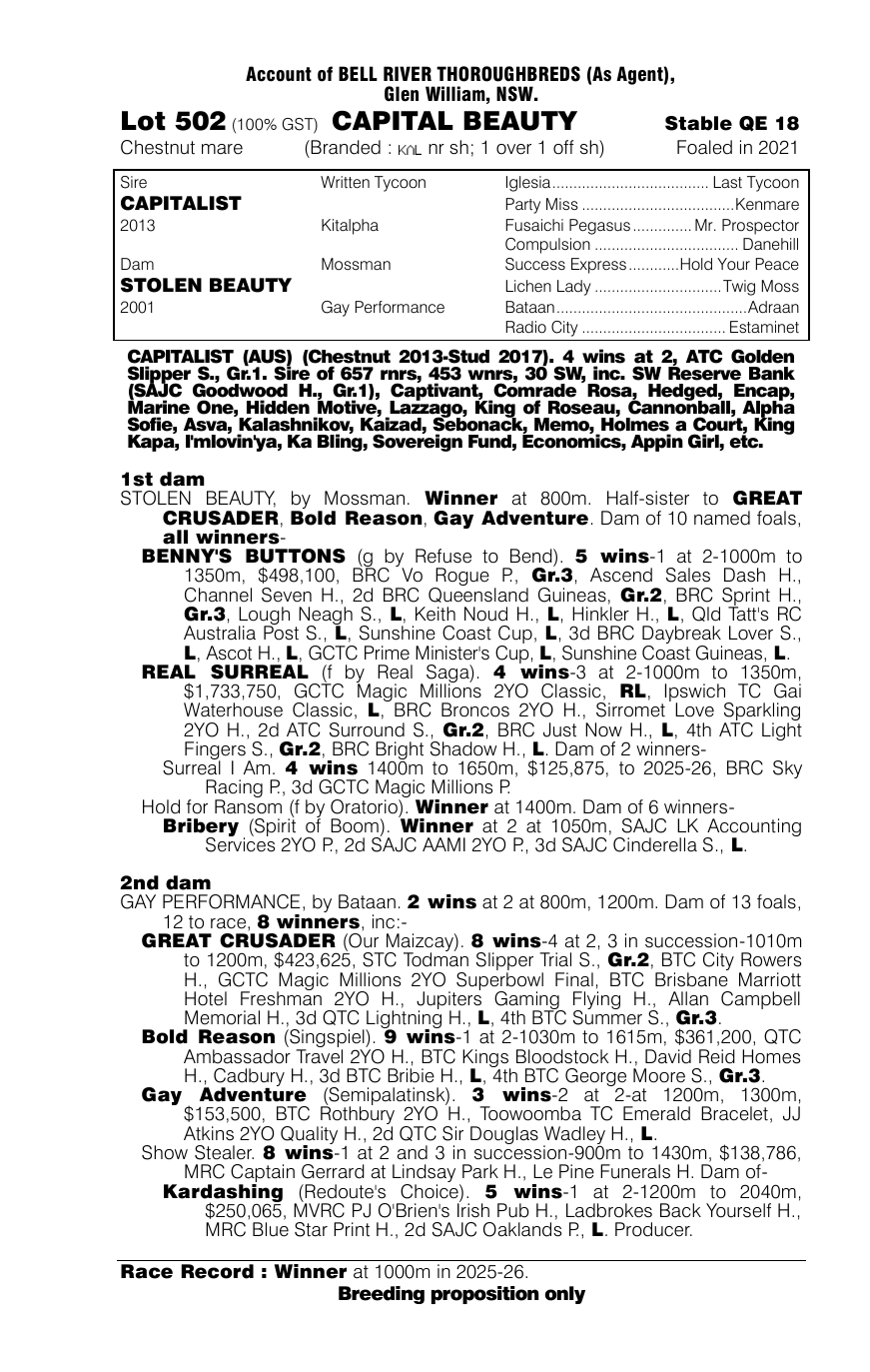 Pedigree - Lot 502