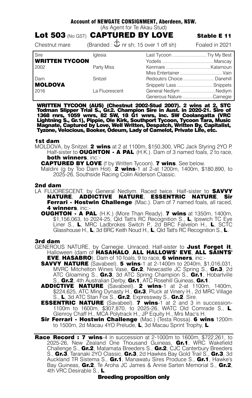 Pedigree - Lot 503