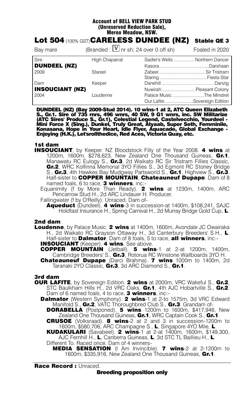 Pedigree - Lot 504