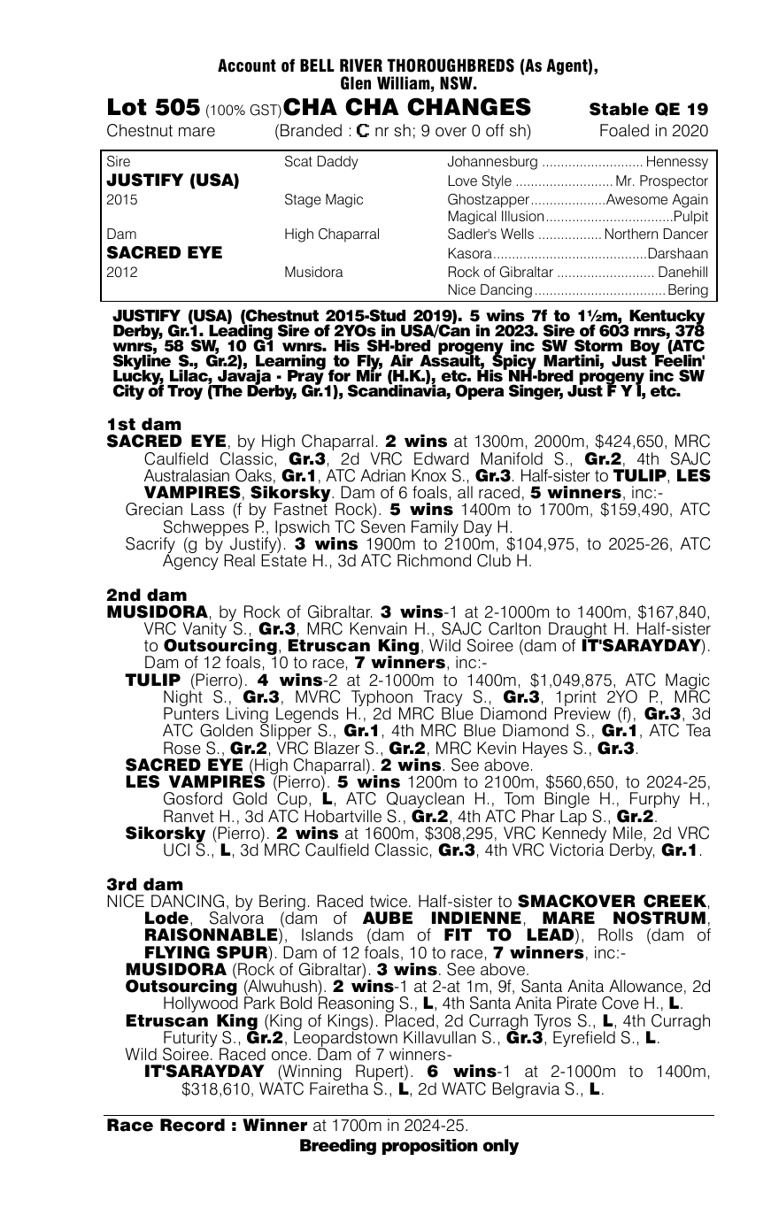 Pedigree - Lot 505