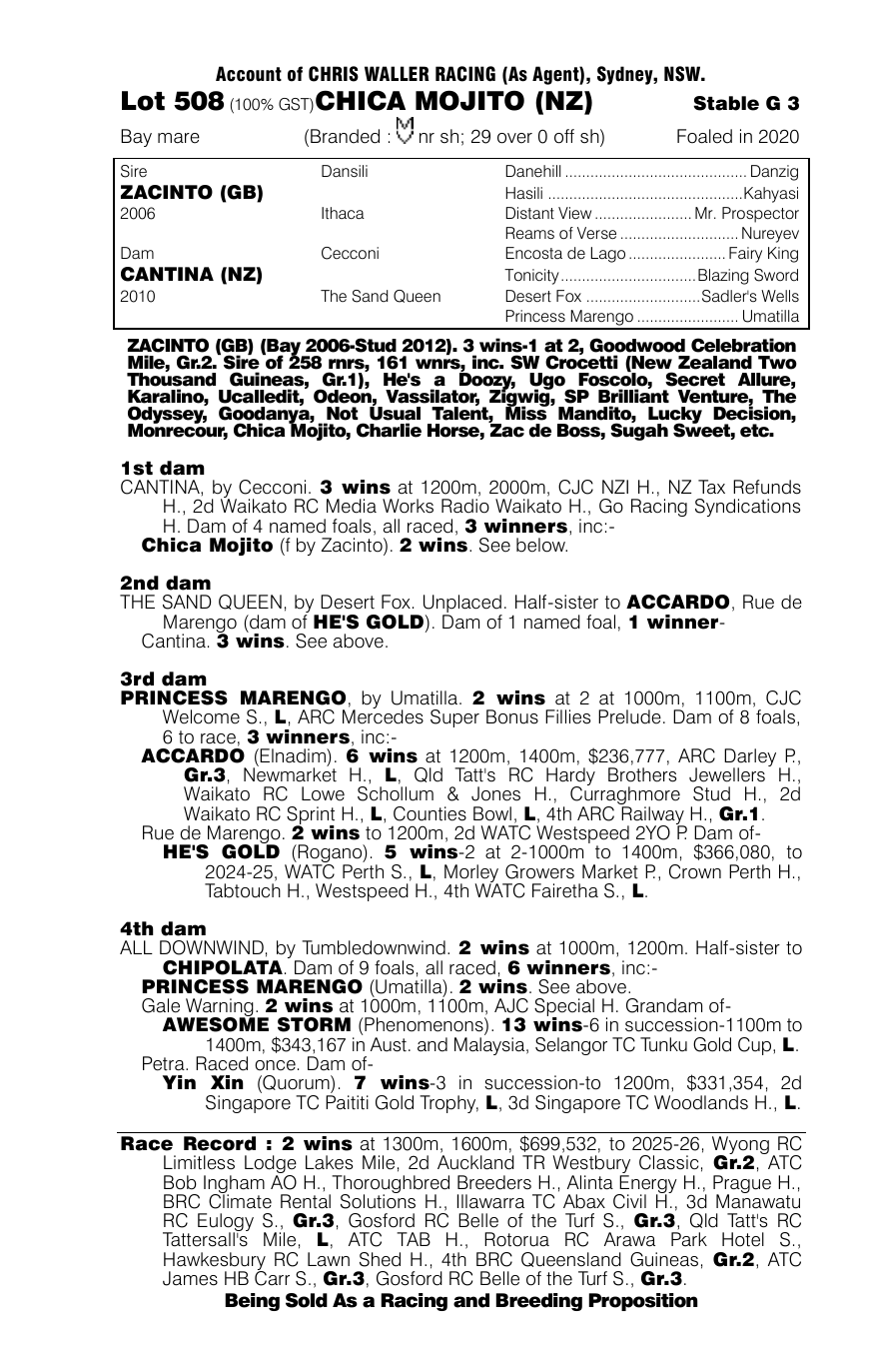 Pedigree - Lot 508