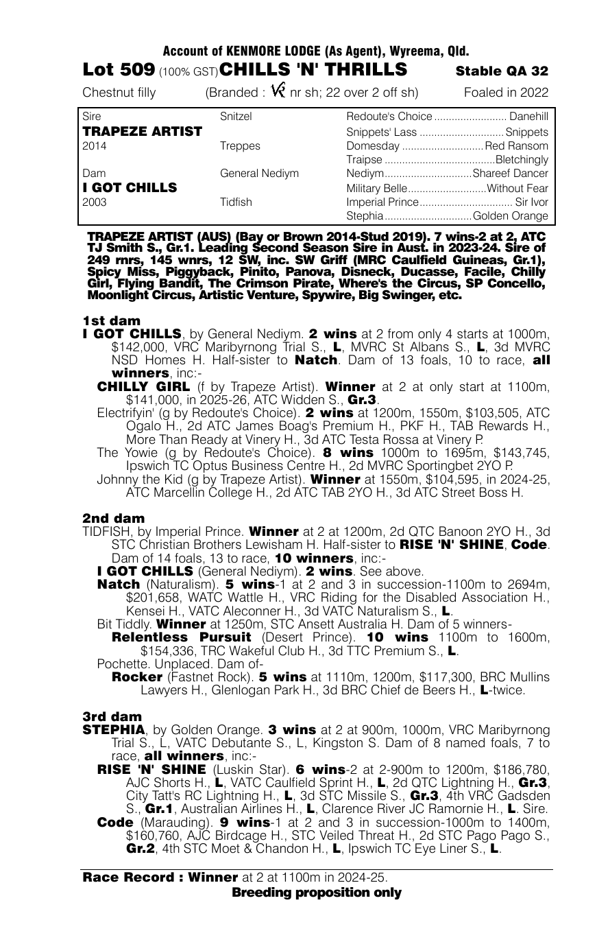 Pedigree - Lot 509