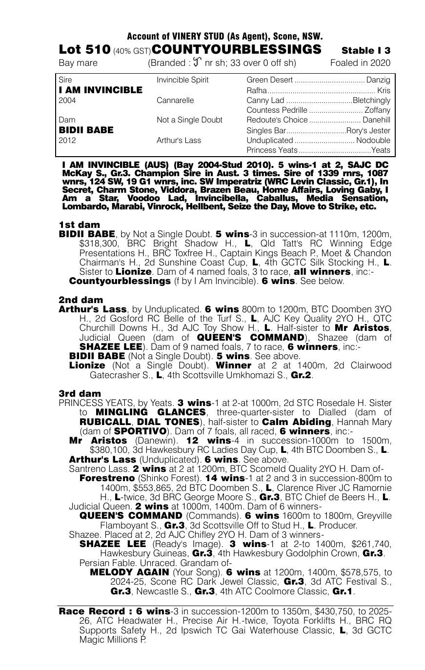 Pedigree - Lot 510