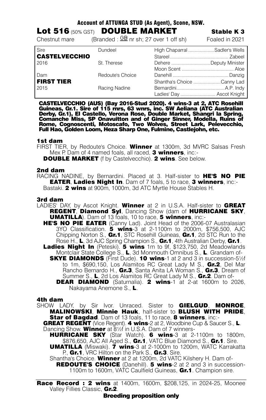 Pedigree - Lot 516