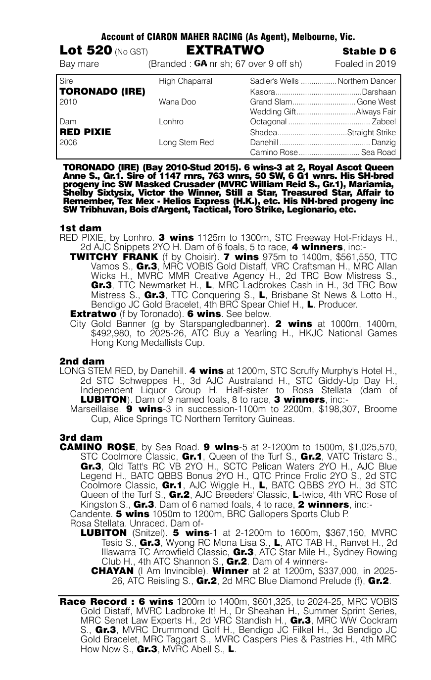 Pedigree - Lot 520