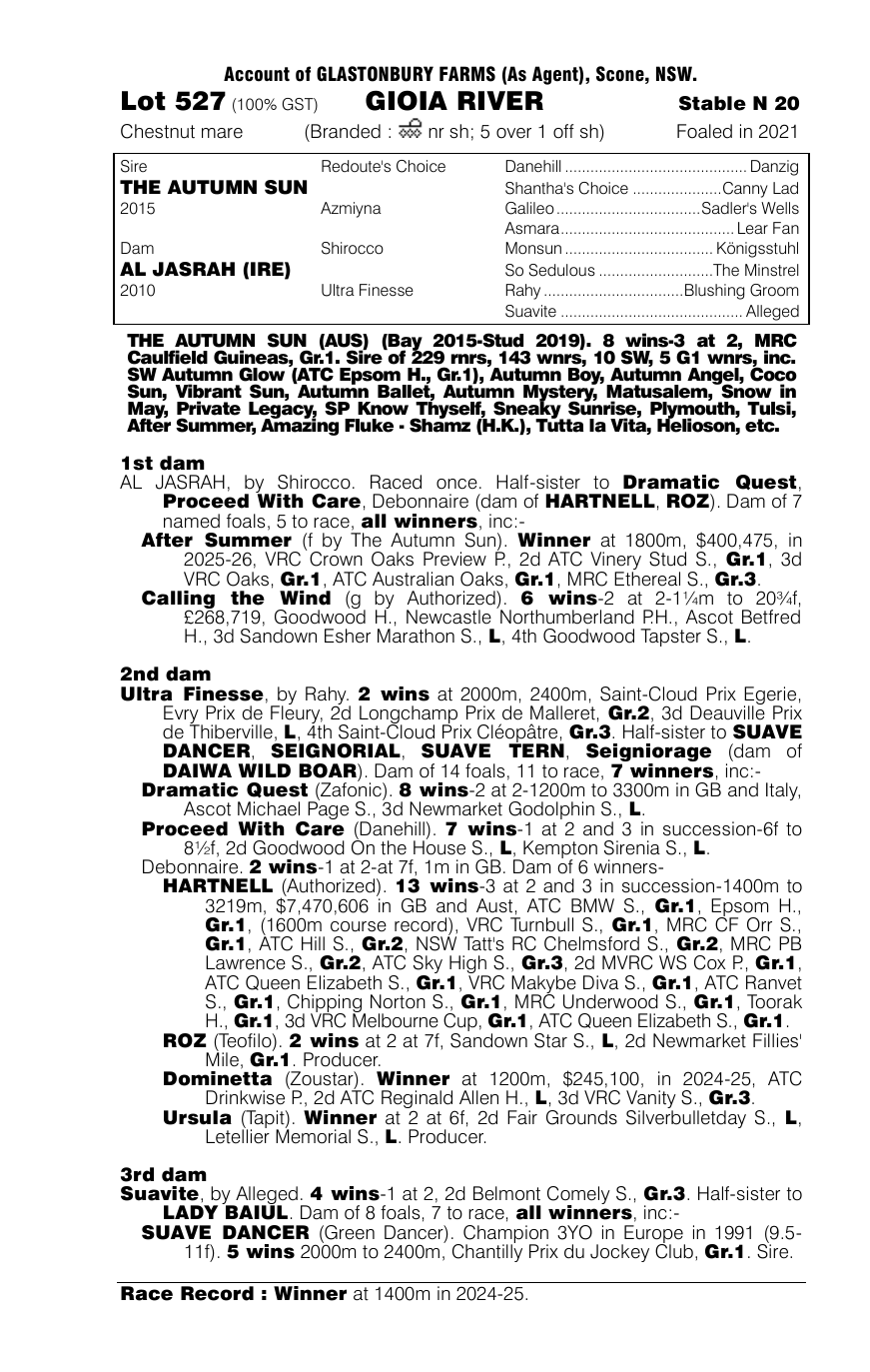 Pedigree - Lot 527