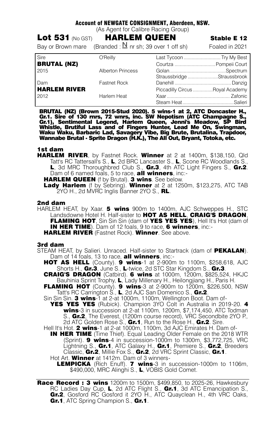 Pedigree - Lot 531