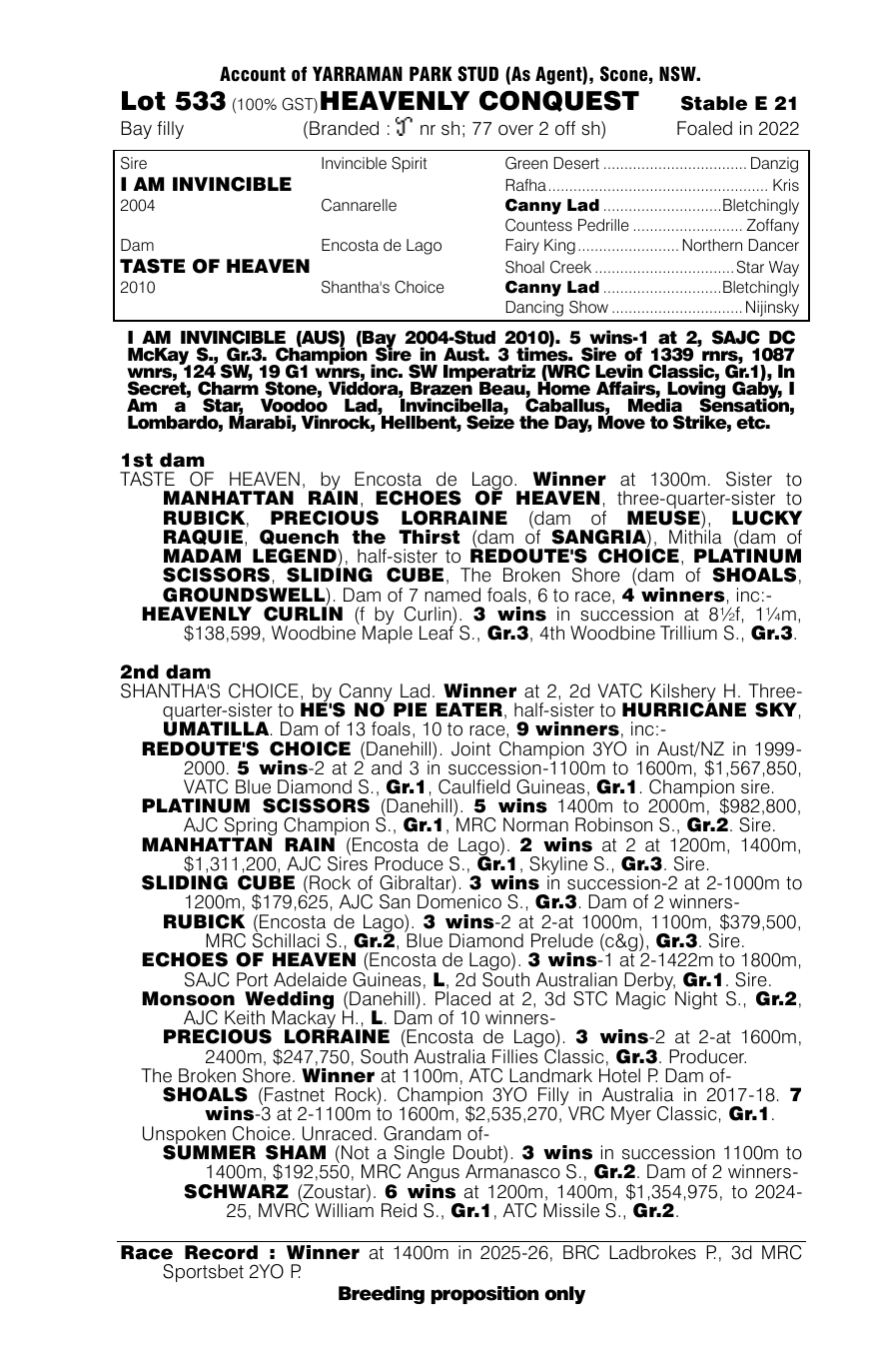Pedigree - Lot 533