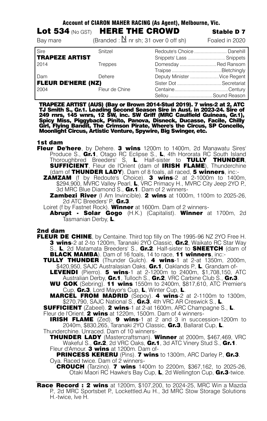 Pedigree - Lot 534