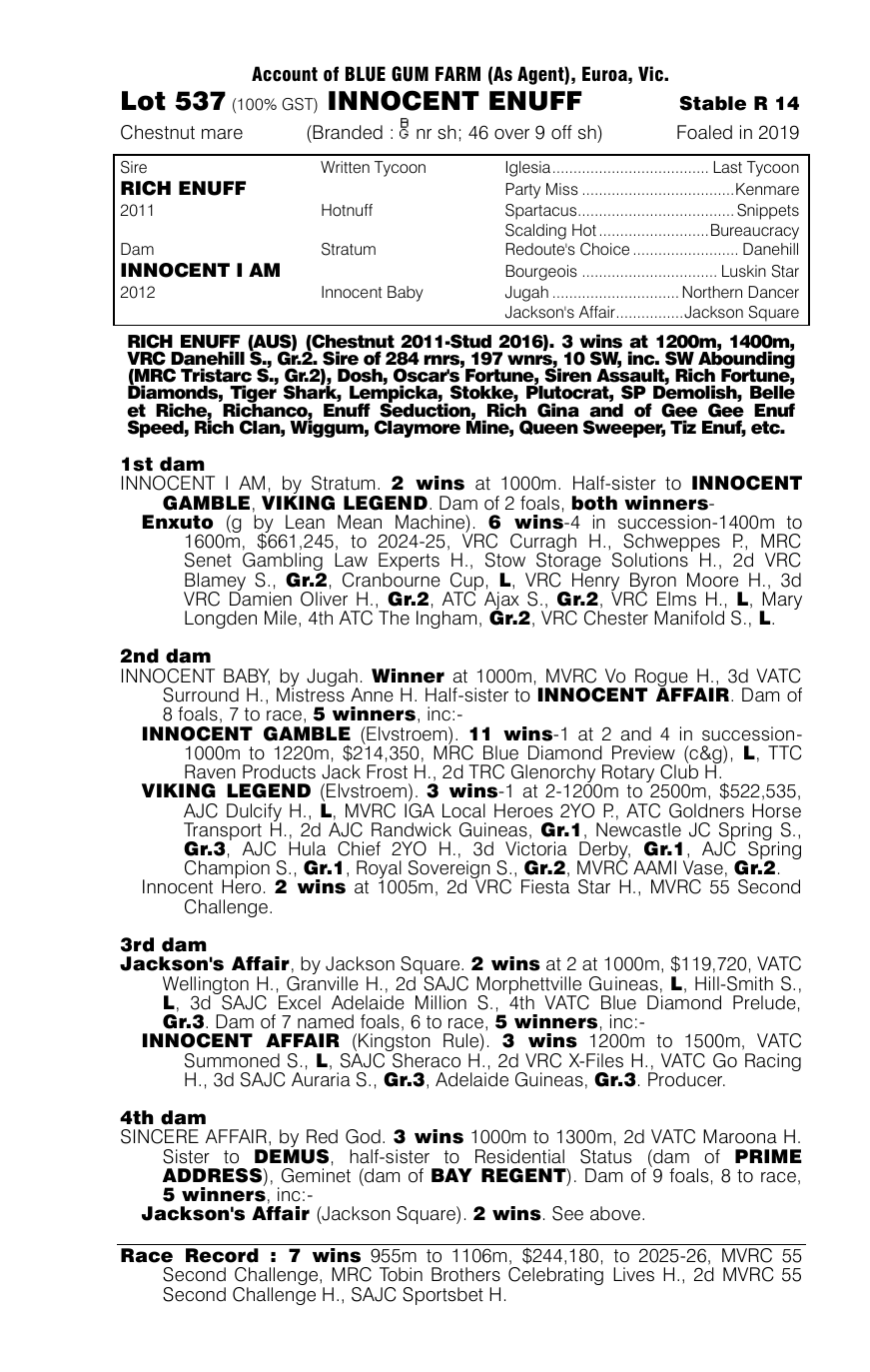Pedigree - Lot 537