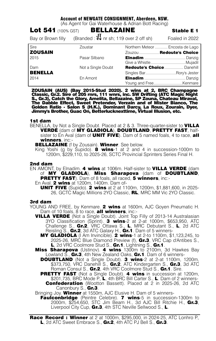 Pedigree - Lot 541