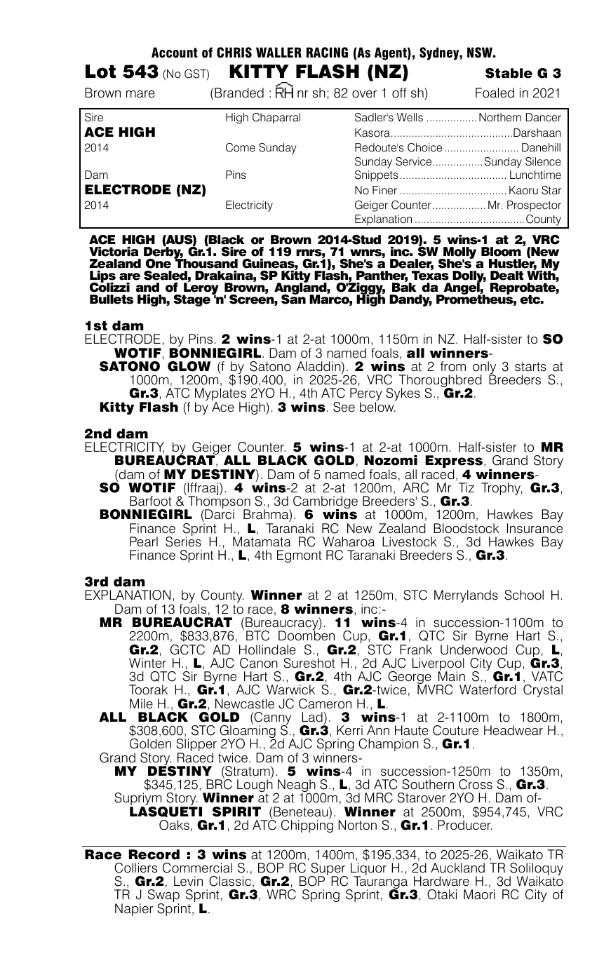 Pedigree - Lot 543