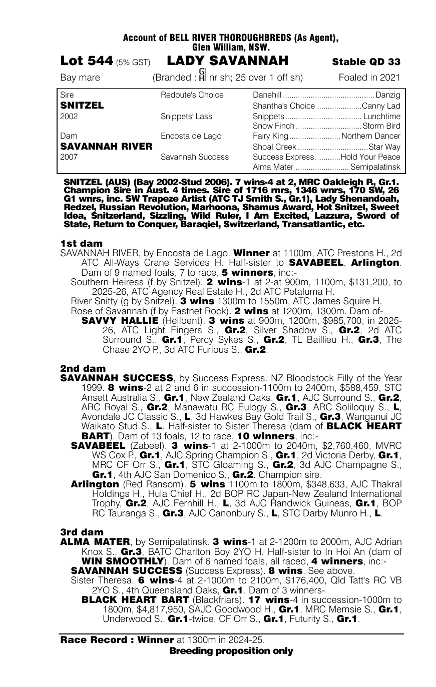 Pedigree - Lot 544