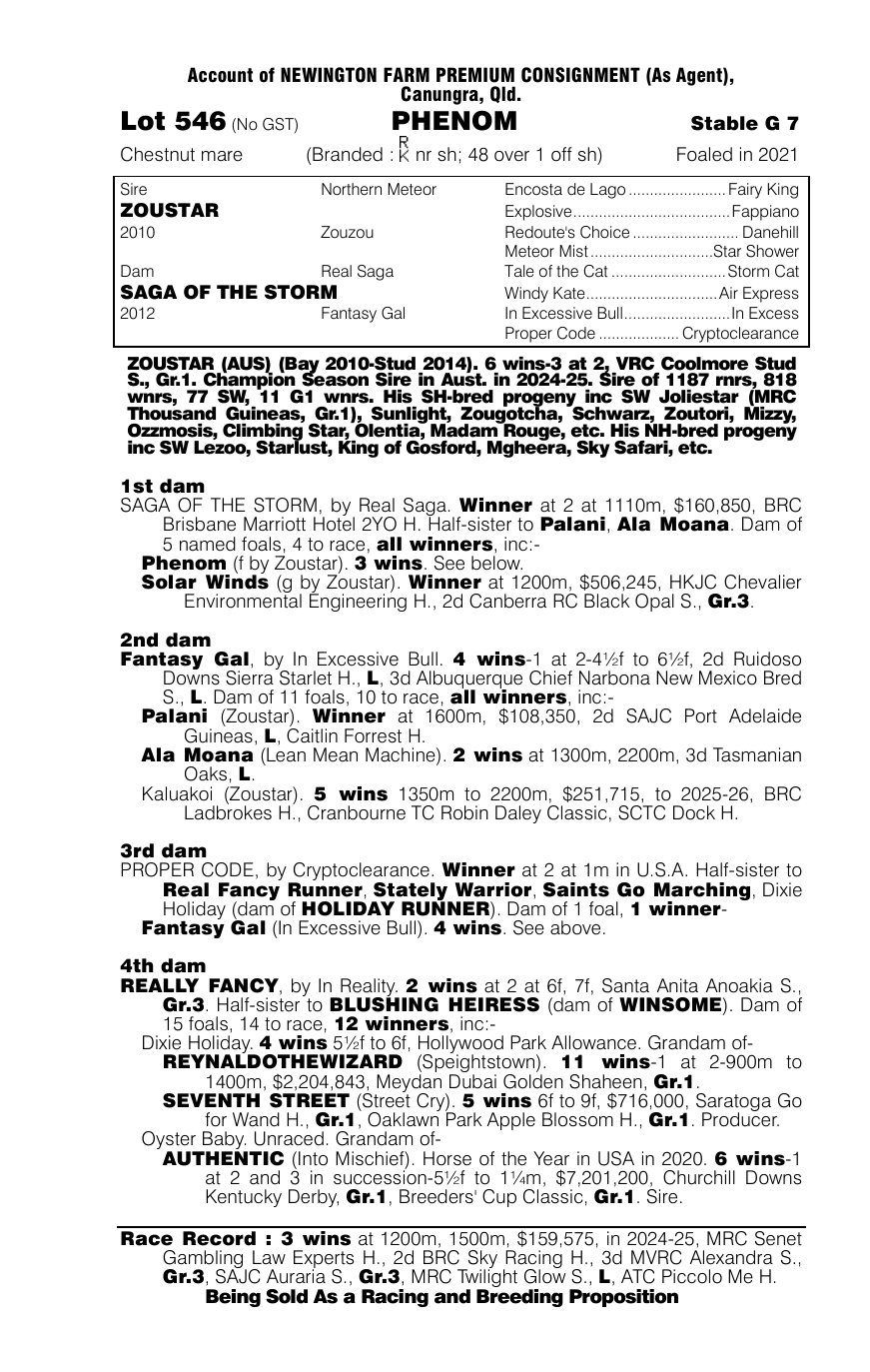 Pedigree - Lot 546