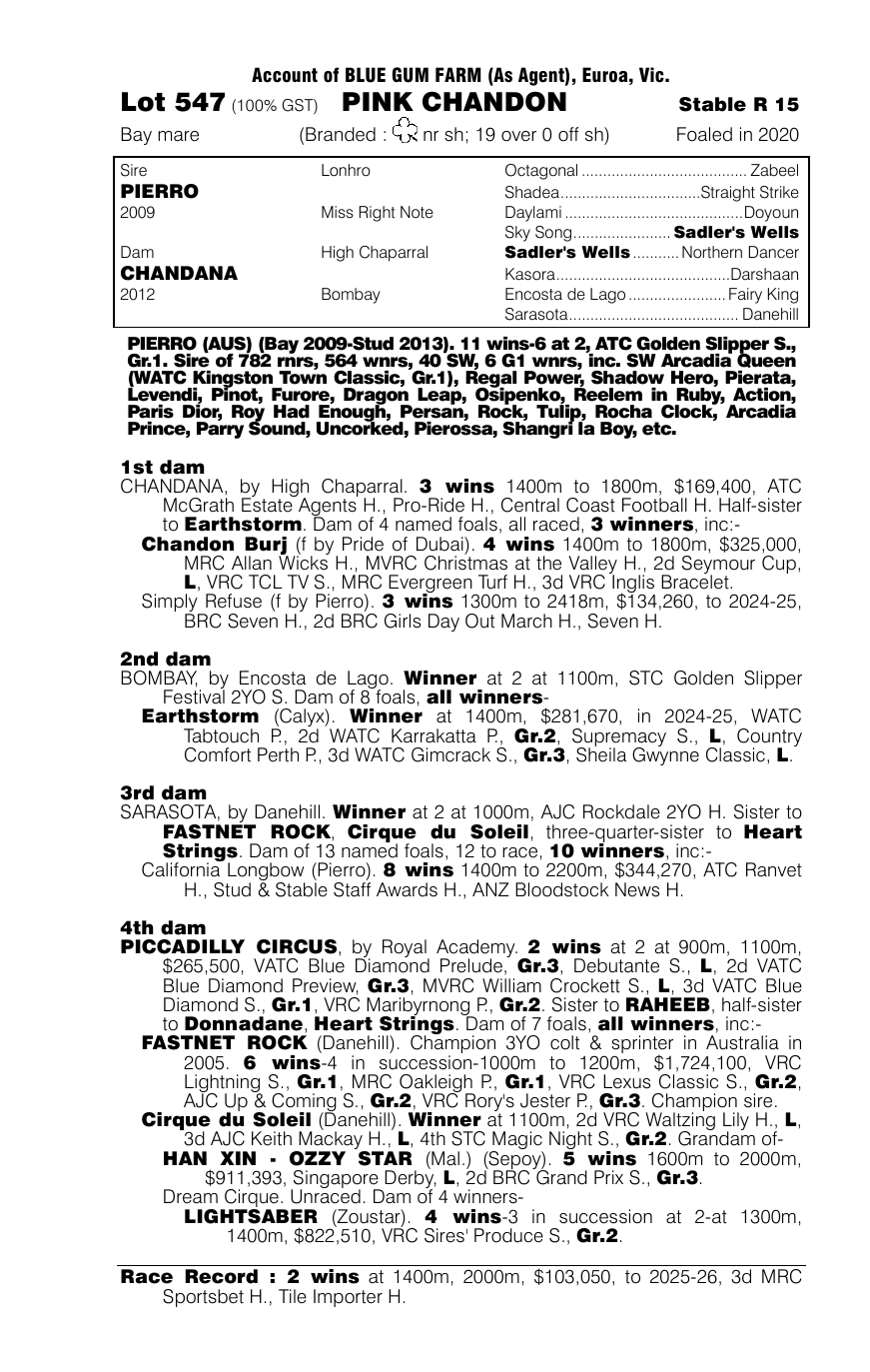 Pedigree - Lot 547