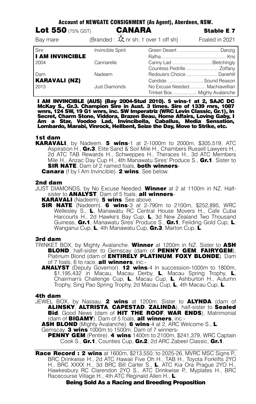 Pedigree - Lot 550