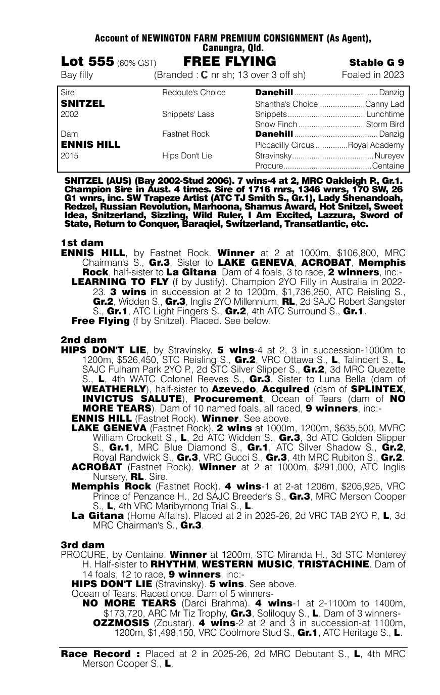 Pedigree - Lot 555