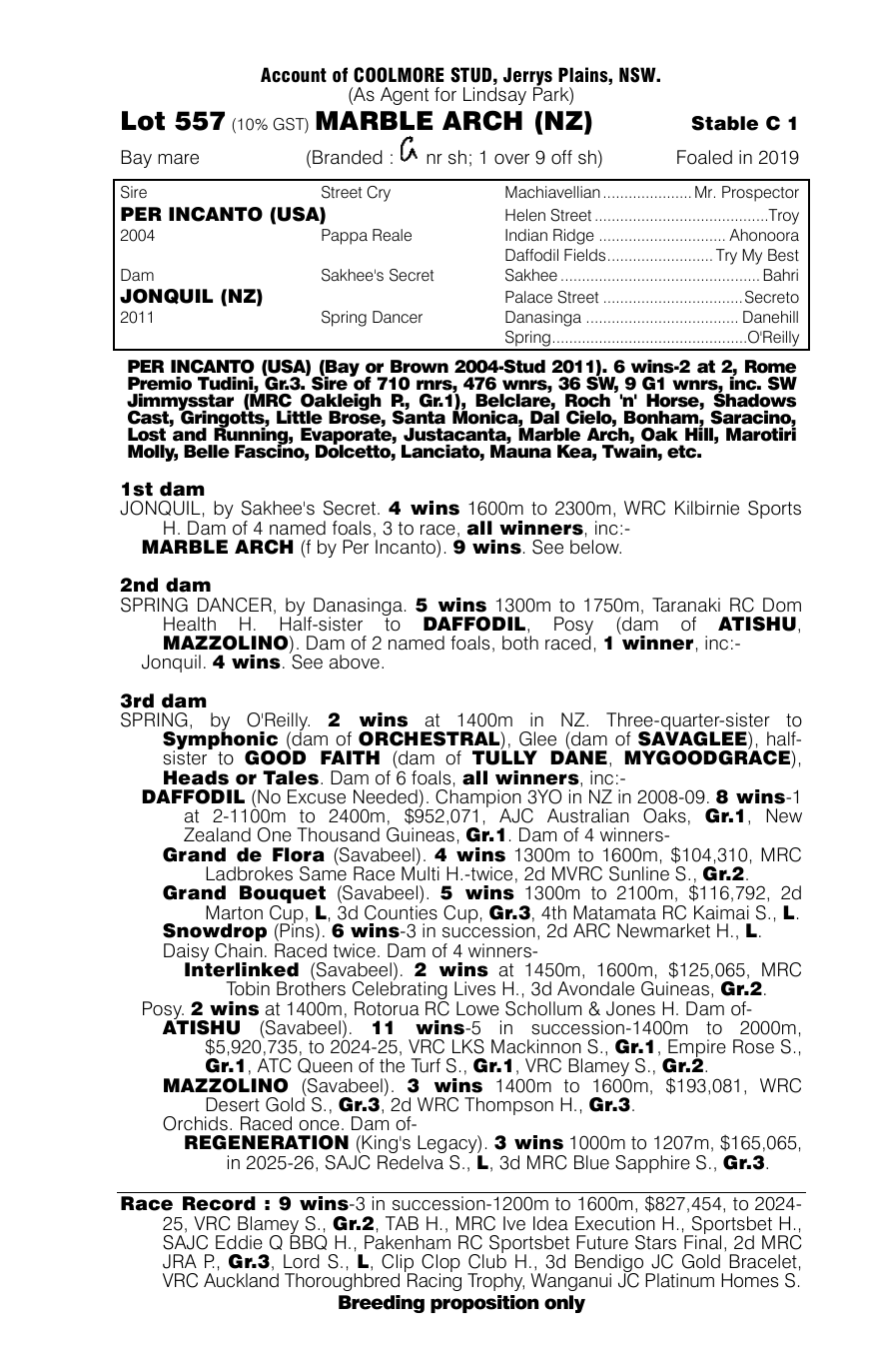 Pedigree - Lot 557