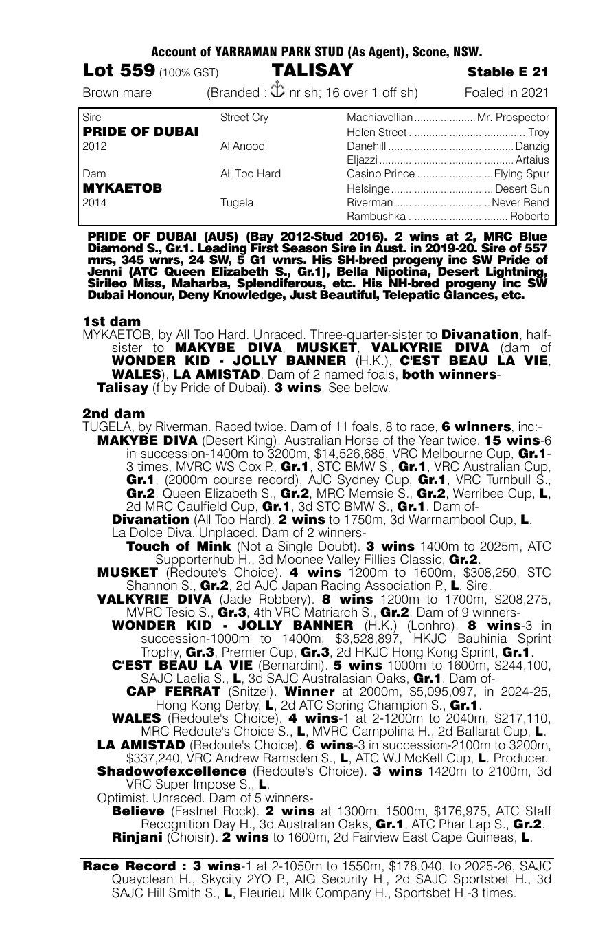 Pedigree - Lot 559