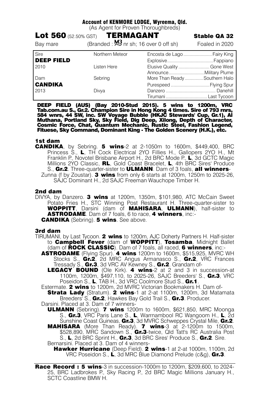 Pedigree - Lot 560