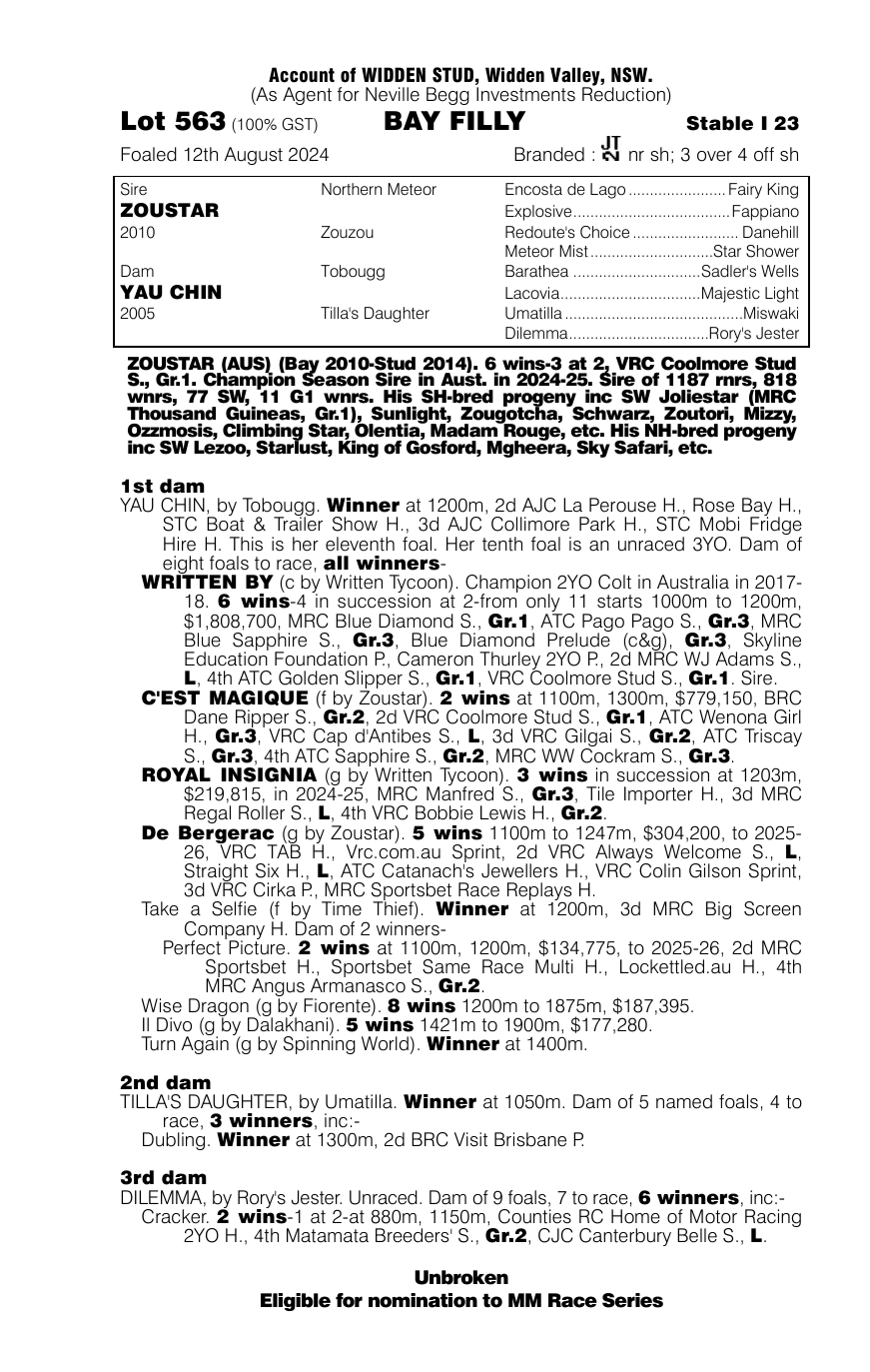 Pedigree - Lot 563