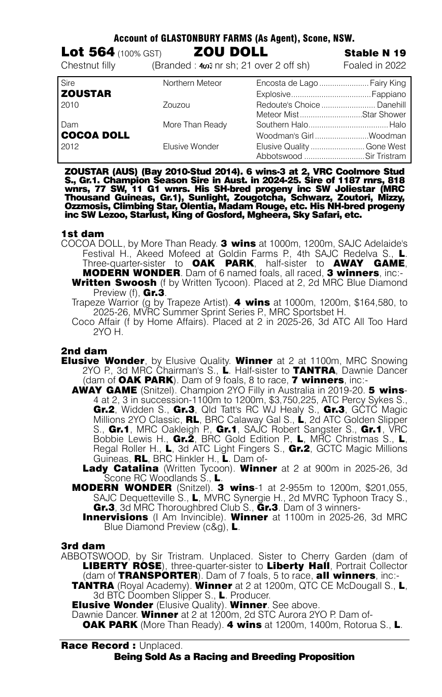 Pedigree - Lot 564