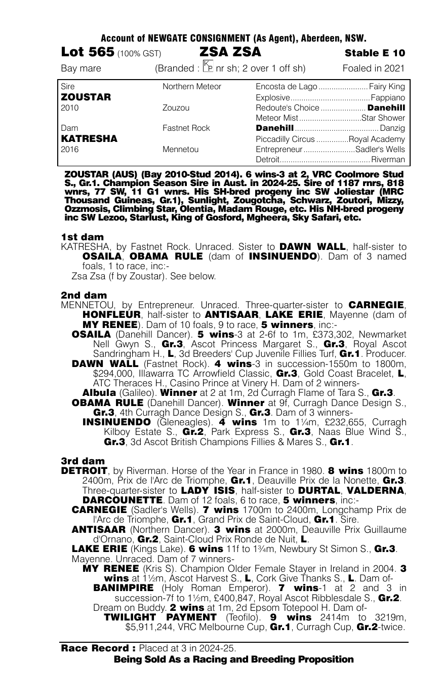 Pedigree - Lot 565