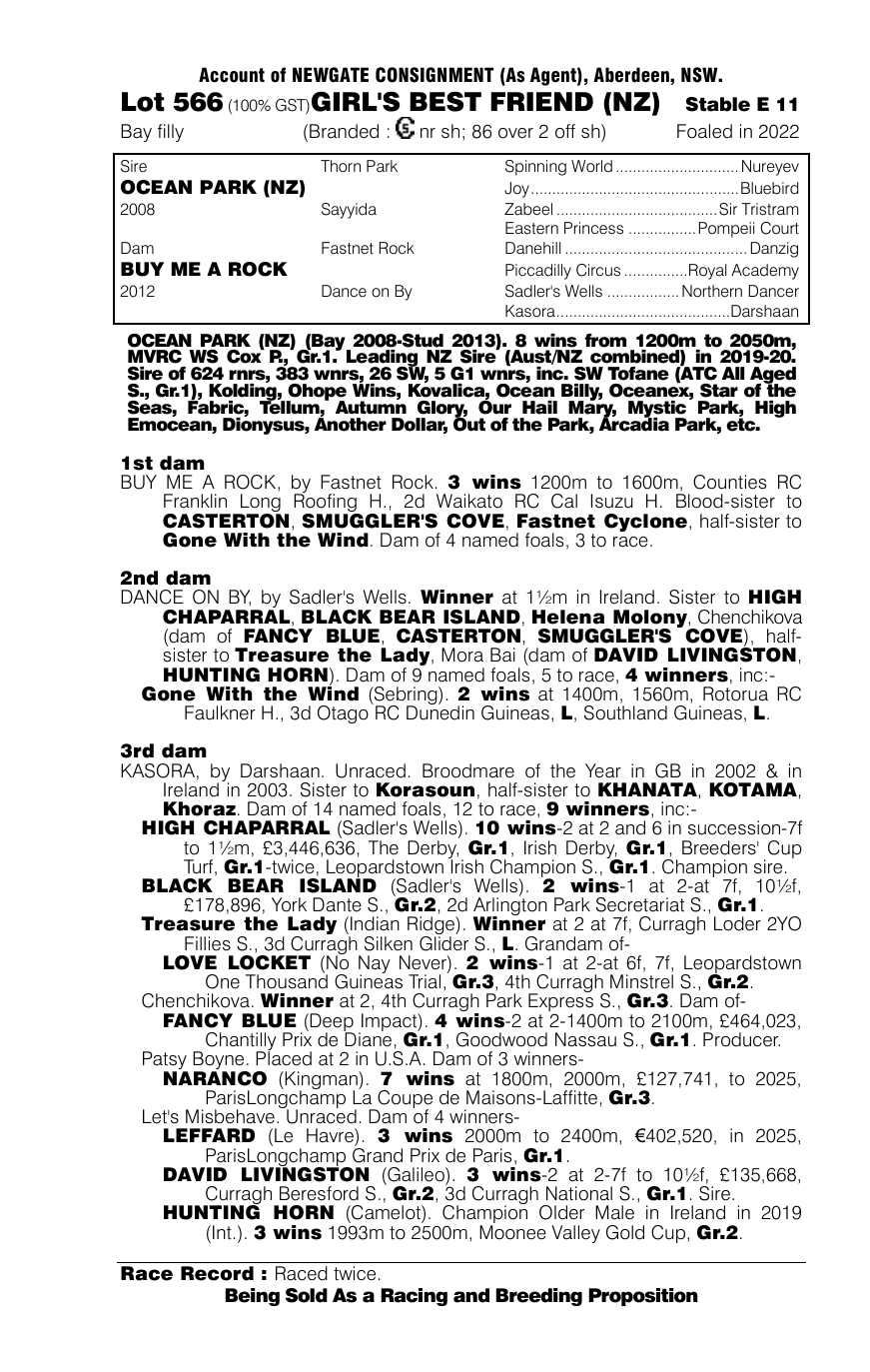 Pedigree - Lot 566
