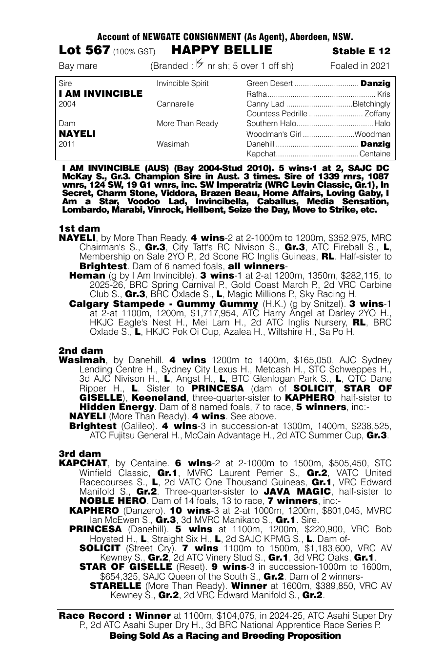 Pedigree - Lot 567
