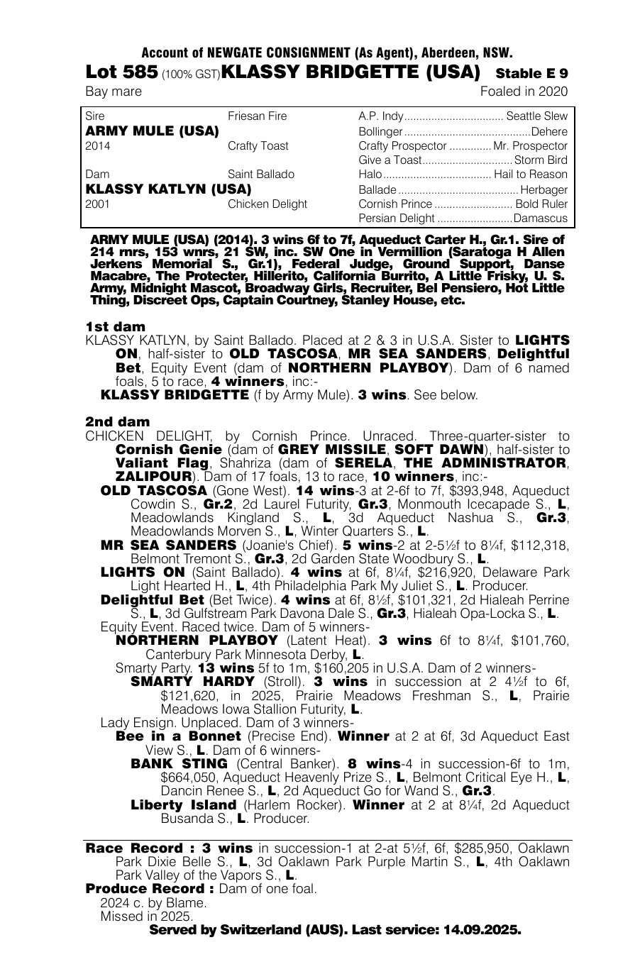 Pedigree - Lot 585