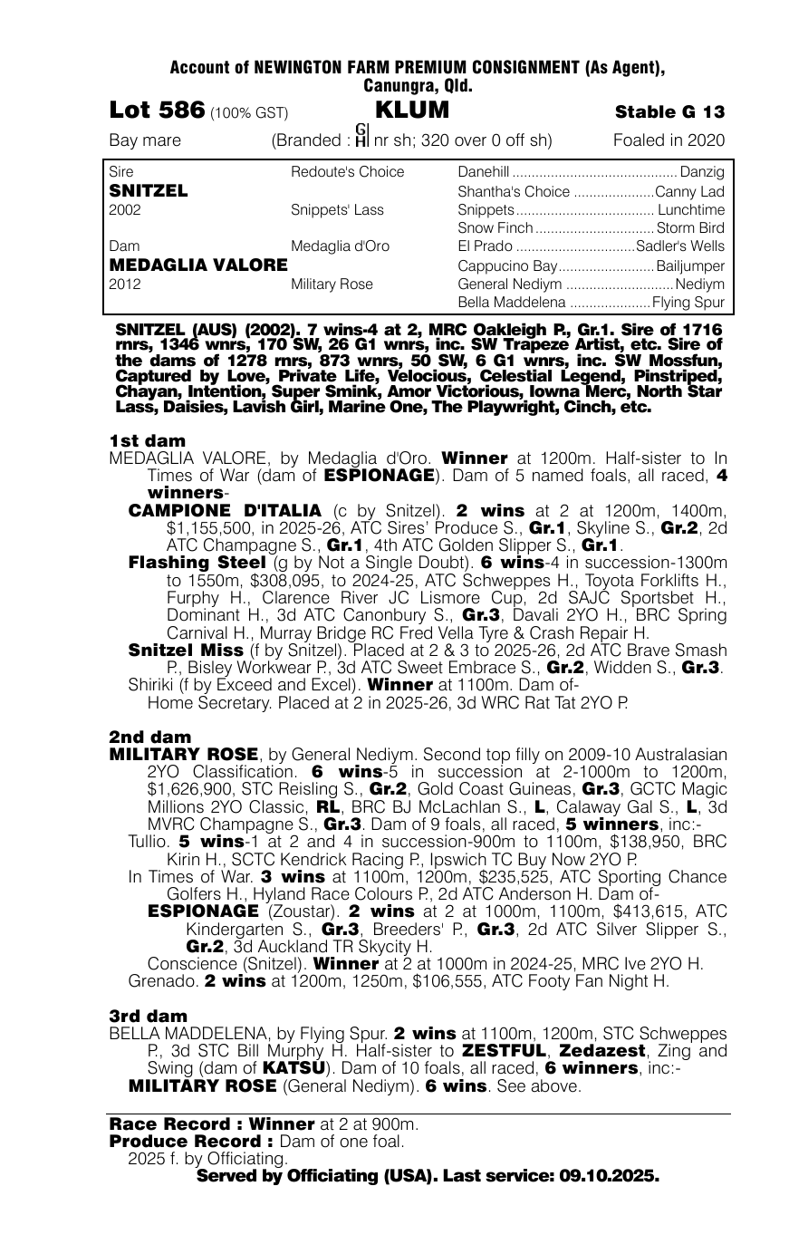 Pedigree - Lot 586