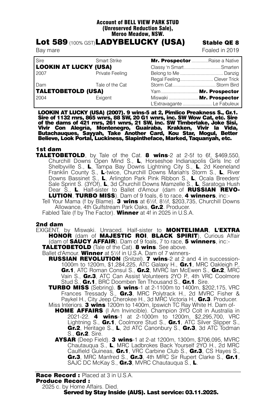 Pedigree - Lot 589