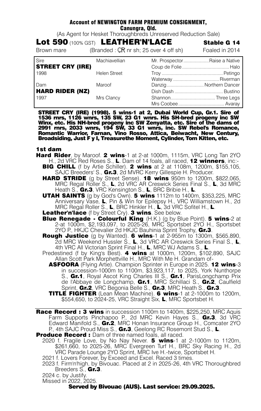 Pedigree - Lot 590