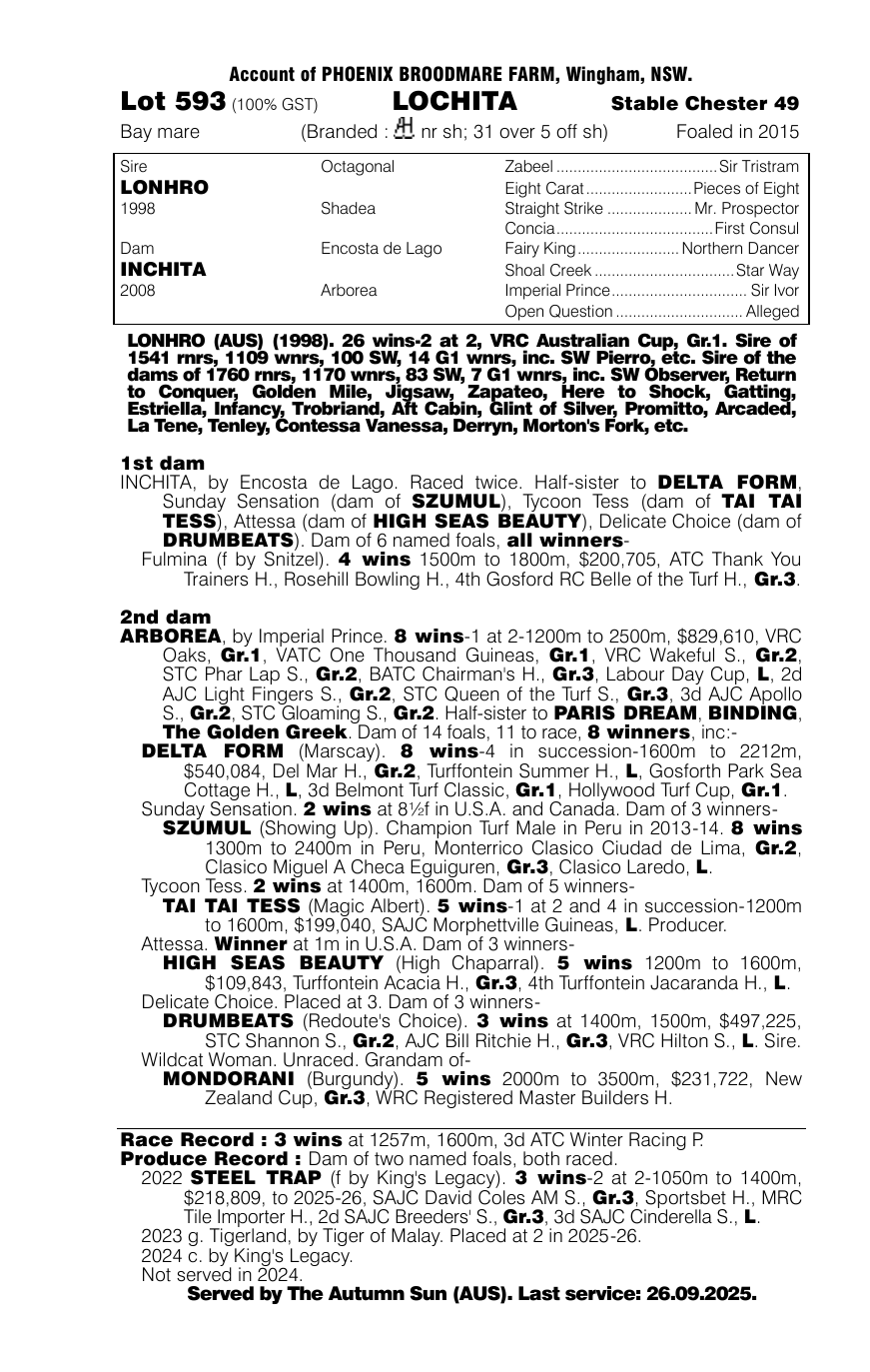Pedigree - Lot 593