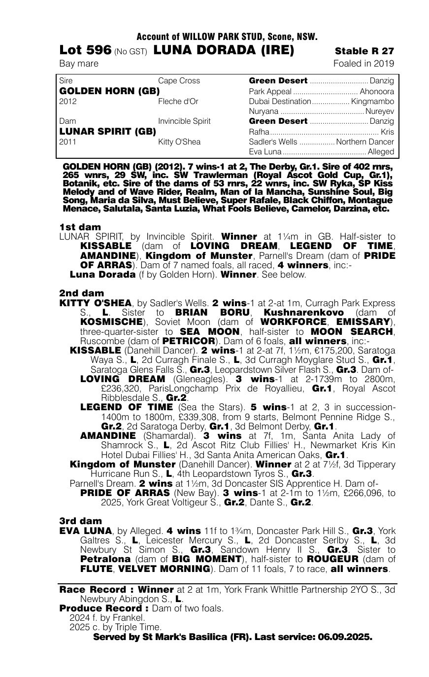 Pedigree - Lot 596