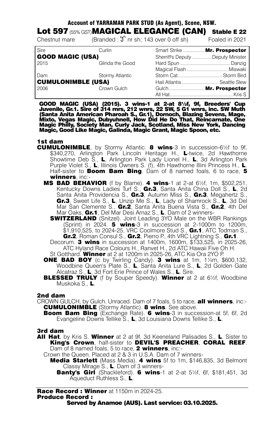 Pedigree - Lot 597